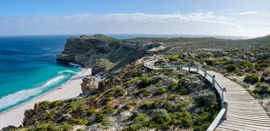 Cape Town: Cape Point and Penguin Colony Full Day Tour - Hotel Pickup and the Timing Reality at the Cape