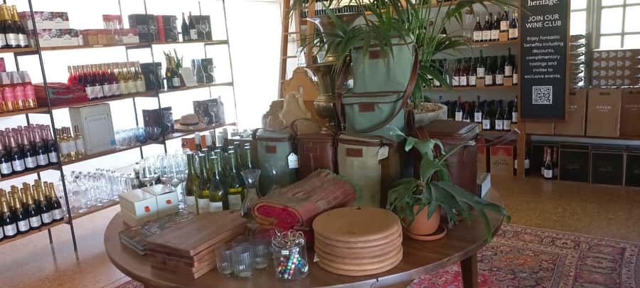 Cape Town: Cheetah Outreach and Winelands Day Tour - Key points to know before you go