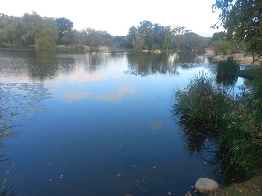 Cape Town: Cheetah Outreach and Winelands Day Tour - LAvenir Country Lodge Stop: A Short Reset With Photo and Browsing Time