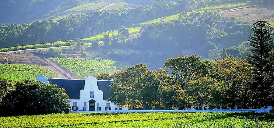 Cape Town: Cheetah Outreach and Winelands Day Tour - Who Should Book, and Who Should Skip This One