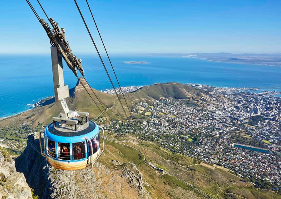Cape Town City Pass: Save Over 50% on 80+ Top Attractions - Winelands Day Trips: Stellenbosch, Constantia, and Franschhoek