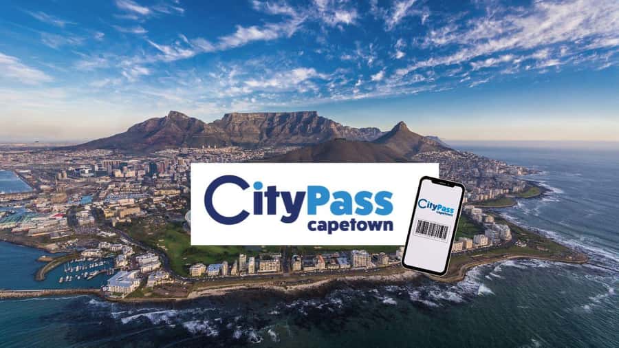 Cape Town City Pass: Save Over 50% on 80+ Top Attractions - Price and Value: When $97 Feels Like a Win