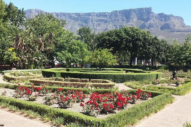 Cape Town City Tour Camps Bay Beach Plus Table Mountain Ticket - Table Mountain cable car in one hour, and what you can realistically do