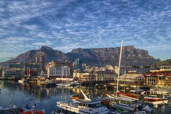 Cape Town City Tour Half-Day - Company’s Gardens: Where the Tour Starts Feeling Like Cape Town
