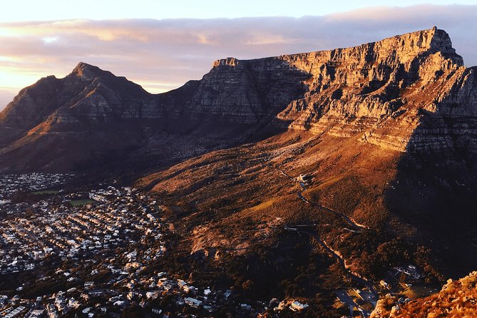 Cape Town City Tour Half-Day - Castle of Good Hope: The Fortification Stop That Feels Real