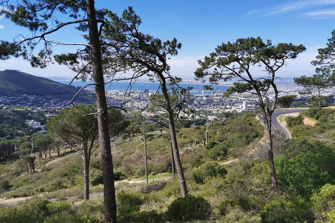 Cape Town City Tour including Lion's head with Wi-Fi on board. - Camps Bay and Table Mountain Photo Opportunities You Can Count On