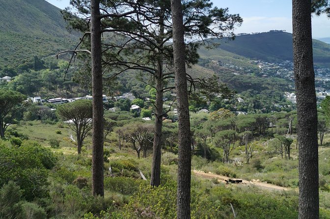 Cape Town City Tour including Lion's head with Wi-Fi on board. - Guide Difference: Elifas and the Custom Touch