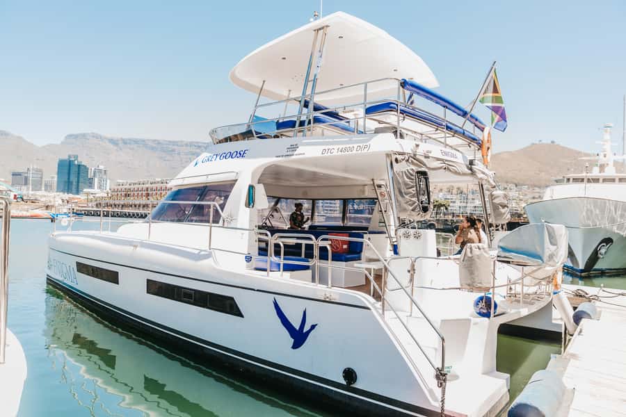 Cape Town: Coastal Cruise & 14-piece Sushi Meal - How This Cape Town Cruise Fits Into Your Day
