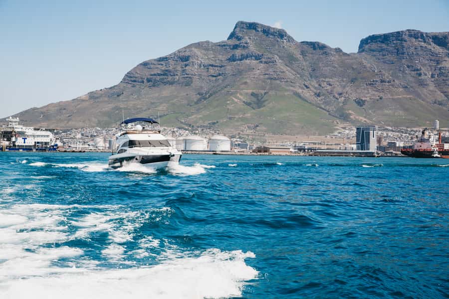 Cape Town: Coastal Cruise & 14-piece Sushi Meal - Wildlife Spotting: What You Can Watch For From the Water