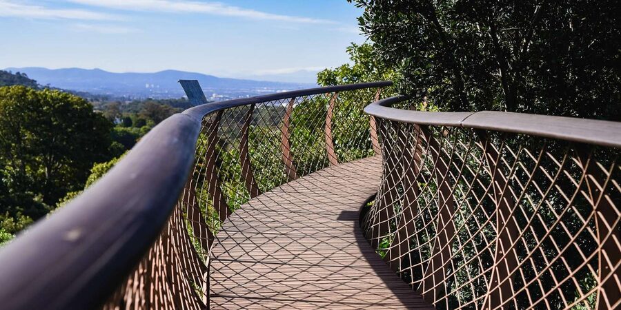 Cape Town: Constantia Half-Day Wine Tour & Tastings - Price and value at $115: what you’re really buying