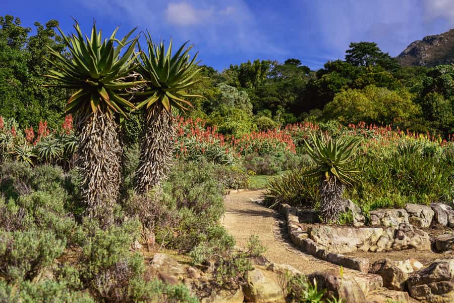 Cape Town: Constantia Half-Day Wine Tour & Tastings - What to bring so you’re comfortable on tasting day