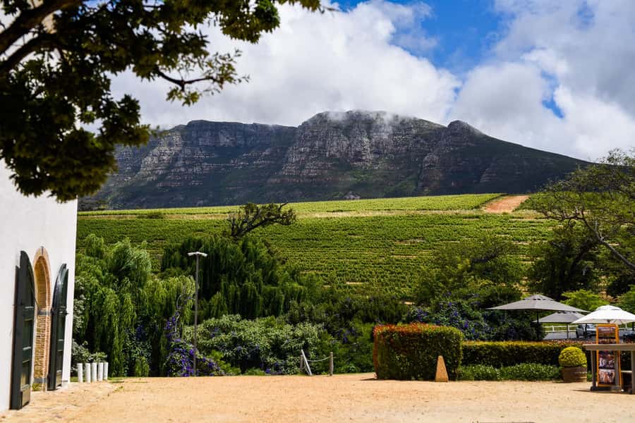 Cape Town: Constantia Half-Day Wine Tour & Tastings - Groot Constantia: where your tour story starts in the right place