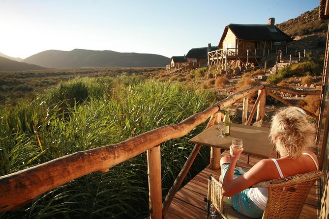Cape Town Day Safari - Lunch, then the long road back: how to manage the full 12 hours