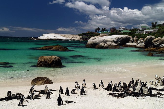 Cape Town Day Tours - Hout Bay First: Coastal Views, Easy Start, and the Chapman’s Peak Drive Story
