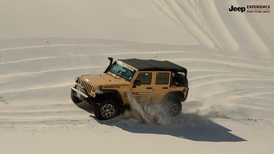 Cape Town Dessert Thrill: 4x4 Dune Venture - Who should book the Dessert Thrill 4x4 dune venture?