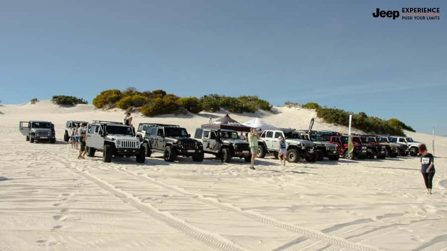 Cape Town Dessert Thrill: 4x4 Dune Venture - Book it or skip it: my decision guide