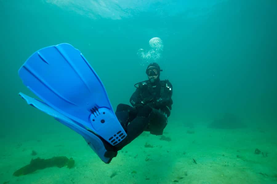 Cape Town: Discover Scuba Diving - 1 day experience - Key highlights to look for