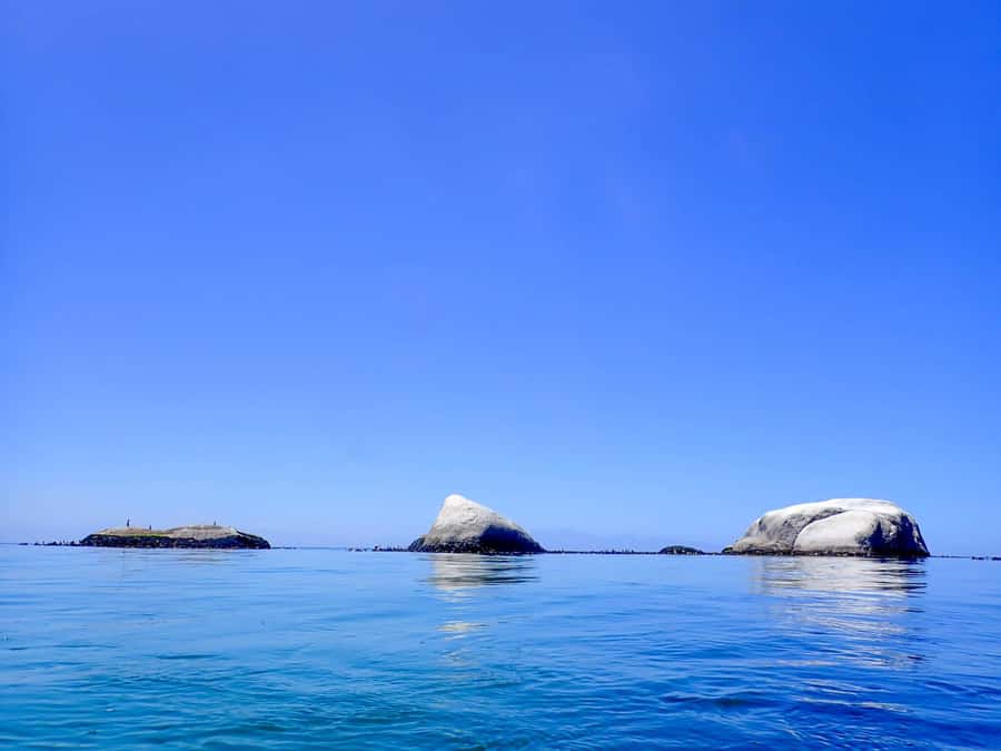 Cape Town: Discover Scuba Diving - 1 day experience - Why try scuba gear with a short Simon’s Town trial?