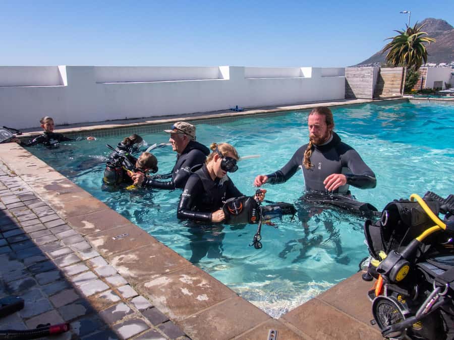 Cape Town: Discover Scuba Diving - 1 day experience - Getting started: the meeting point and pre-water training