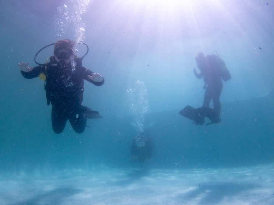 Cape Town: Discover Scuba Diving - 1 day experience - The safety briefing that makes first-timers comfortable