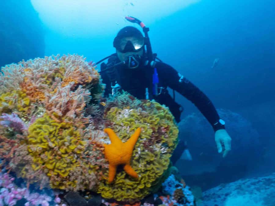 Cape Town: Discover Scuba Diving - 1 day experience - Your underwater session at Long Beach and the Sea Forests