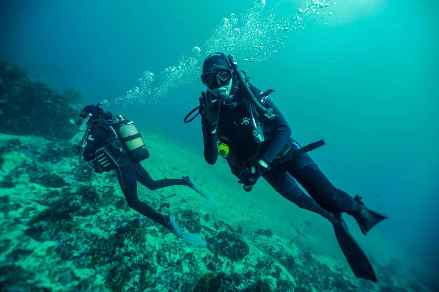 Cape Town: Discover Scuba Diving - 1 day experience - After the session: facilities, snacks, and how to avoid feeling wrecked