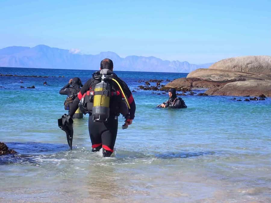 Cape Town: Discover Scuba Diving - 1 day experience - Price and the real value of a $155, 4-hour experience