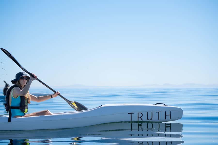 Cape Town: Dolphin & Ocean Wildlife Kayaking Adventure ⚓️ - Key highlights I’d plan around
