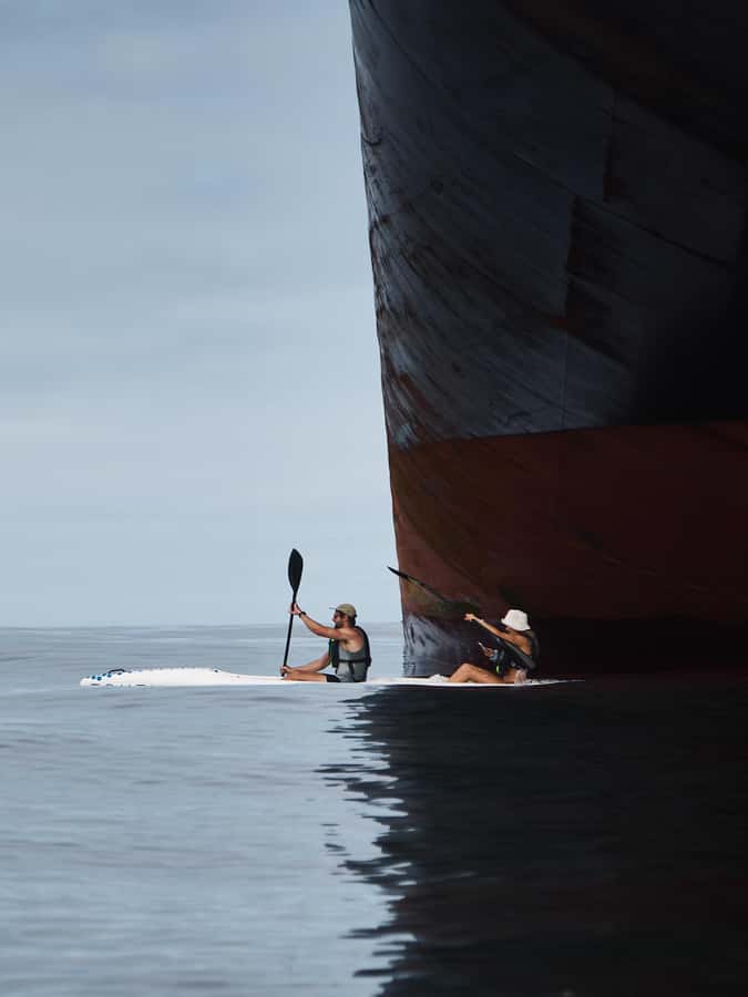 Cape Town: Dolphin & Ocean Wildlife Kayaking Adventure ⚓️ - After your paddle: showers, garden calm, and morning energy