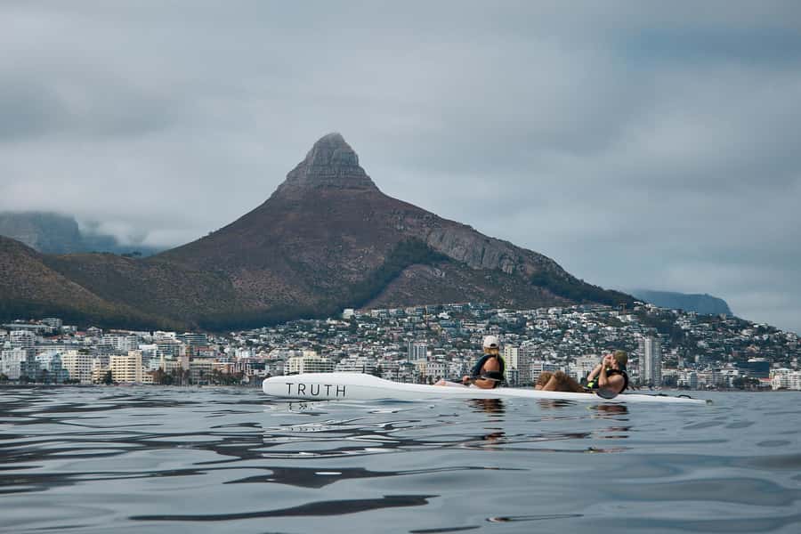 Cape Town: Dolphin & Ocean Wildlife Kayaking Adventure ⚓️ - Starting at Truth Adventure HQ in Mouille Point