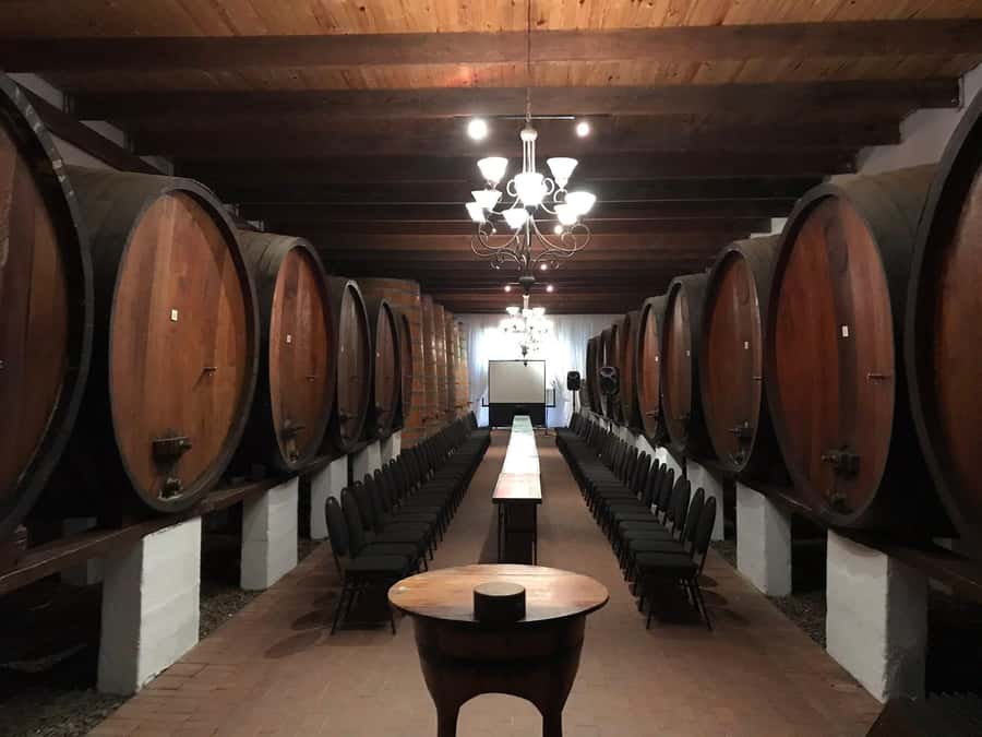 Cape Town: Franschhoek Wine Tram Hop-On Hop-Off Tour - Key highlights before you go