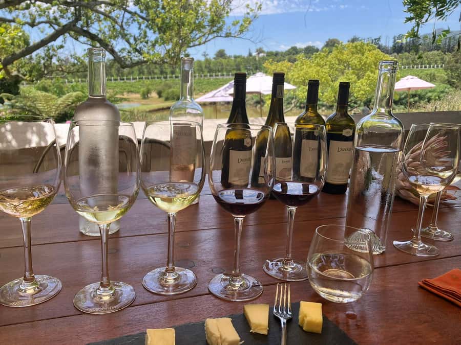 Cape Town: Franschhoek Wine Tram Hop-On Hop-Off Tour - Guide style, language expectations, and the final drop-off check