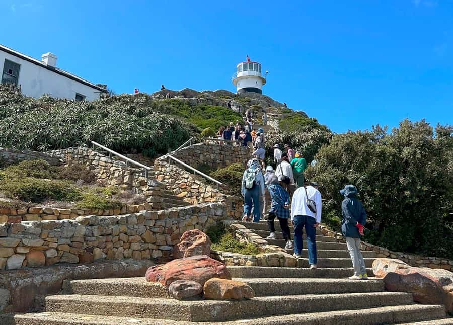 Cape Town: Full Day Cape of Good Hope with Penguins Tour - Entering Cape Point Nature Reserve: wildlife spotting with real variety