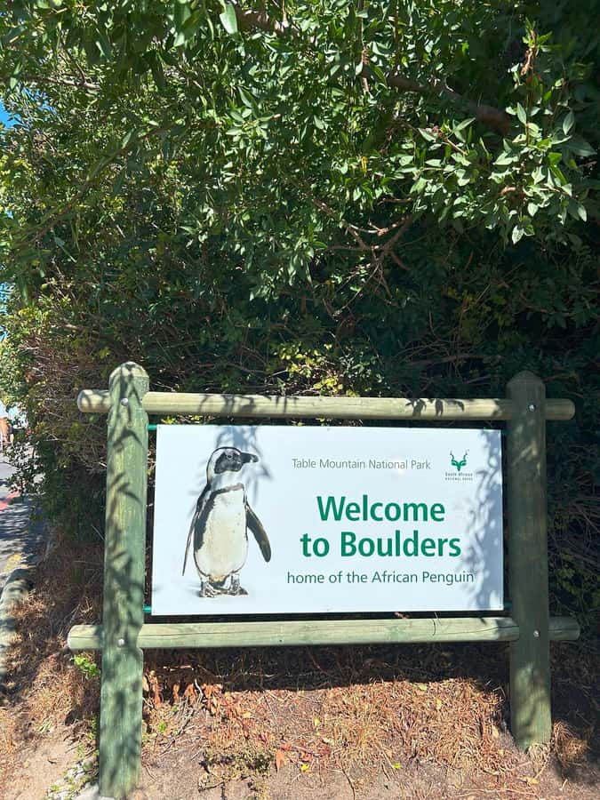 Cape Town: Full Day Cape of Good Hope with Penguins Tour - Cape of Good Hope stop: photos are great, but time is short