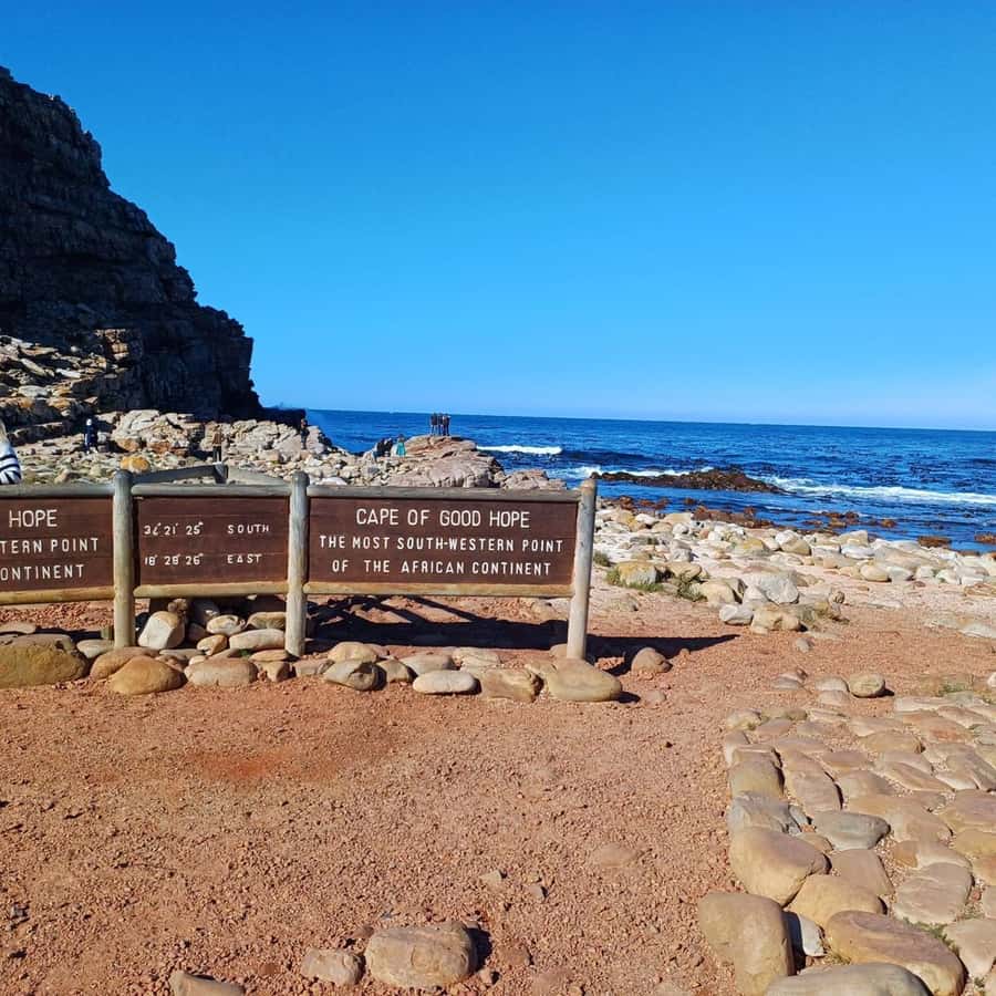 Cape Town: Full Day Cape of Good Hope with Penguins Tour - Starting on the Atlantic side: Sea Point and Camps Bay views