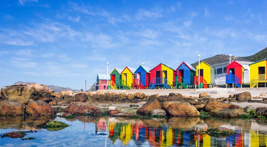 Cape Town: Full-Day Cape Peninsula and Penguins Tour - Price and logistics: what $35 really buys you