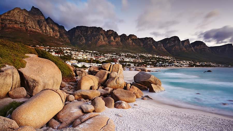 Cape Town: Full-Day Cape Peninsula Tour with Transfers - Key things that make this Cape Peninsula day trip work