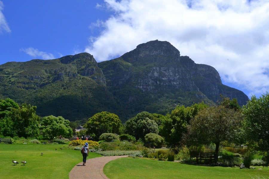 Cape Town: Full-Day Kirstenbosch, Bo-Kaap, and Penguins Tour - Kalk Bay and Simon’s Town: fishing village vibes and navy corners