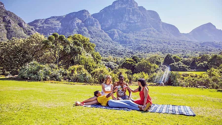 Cape Town: Full-Day Kirstenbosch, Bo-Kaap, and Penguins Tour - Boulders Beach penguins: the hour that’s hard to fake