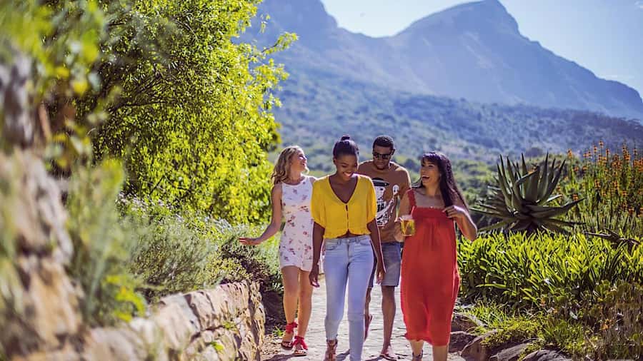 Cape Town: Full-Day Kirstenbosch, Bo-Kaap, and Penguins Tour - Chapman’s Peak Drive and Hout Bay seals: the coast finishes strong