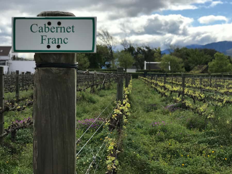 Cape Town: Full-Day Stellenbosch and Franschhoek Wine Tour - Key Takeaways Before You Go