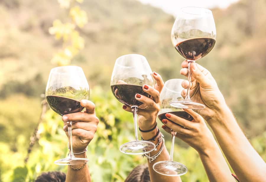 Cape Town: Full-Day Wine Tasting Tour with Wine Tram - The wine tram in Franschhoek: choosing your farm stops