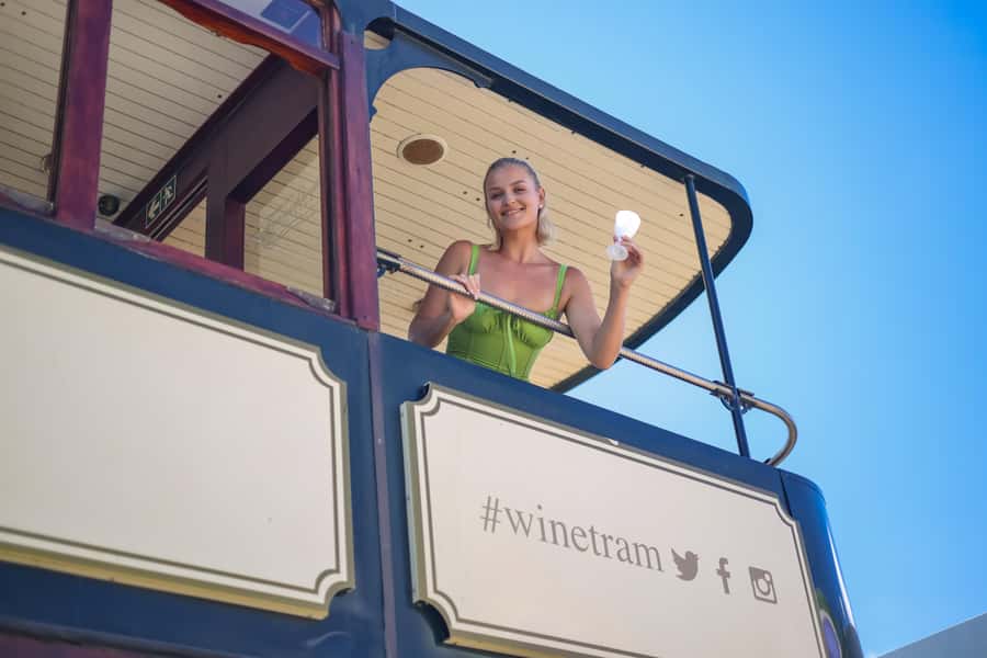Cape Town: Full-Day Wine Tasting Tour with Wine Tram - Pickup, the van ride, and how to use the time well