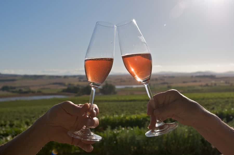 Cape Town: Full-Day Winelands Tour with Wine Tastings & Food - Picking Up in Cape Town and Rolling Out to Paarl