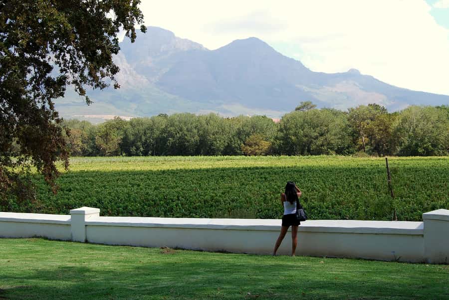 Cape Town: Full-Day Winelands Tour with Wine Tastings & Food - Franschhoek and Stellenbosch Stops: French Heritage and Pinotage