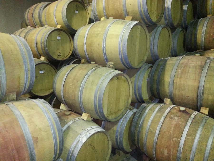 Cape Town: Full-Day Winelands Tour with Wine Tastings & Food - Who This Tour Fits Best, and Who Should Skip It