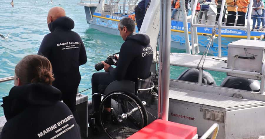 Cape Town: Gansbaai Eco-Friendly Shark Cage Diving Cruise - On Shore Again: Soup, Bread, and the African Penguin and Seabird Sanctuary