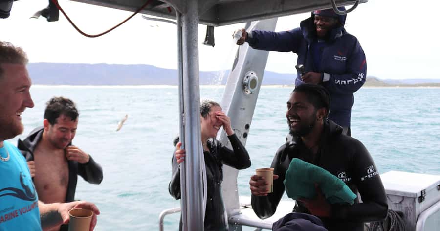 Cape Town: Gansbaai Eco-Friendly Shark Cage Diving Cruise - Should You Book This Shark Cage Day in Gansbaai?