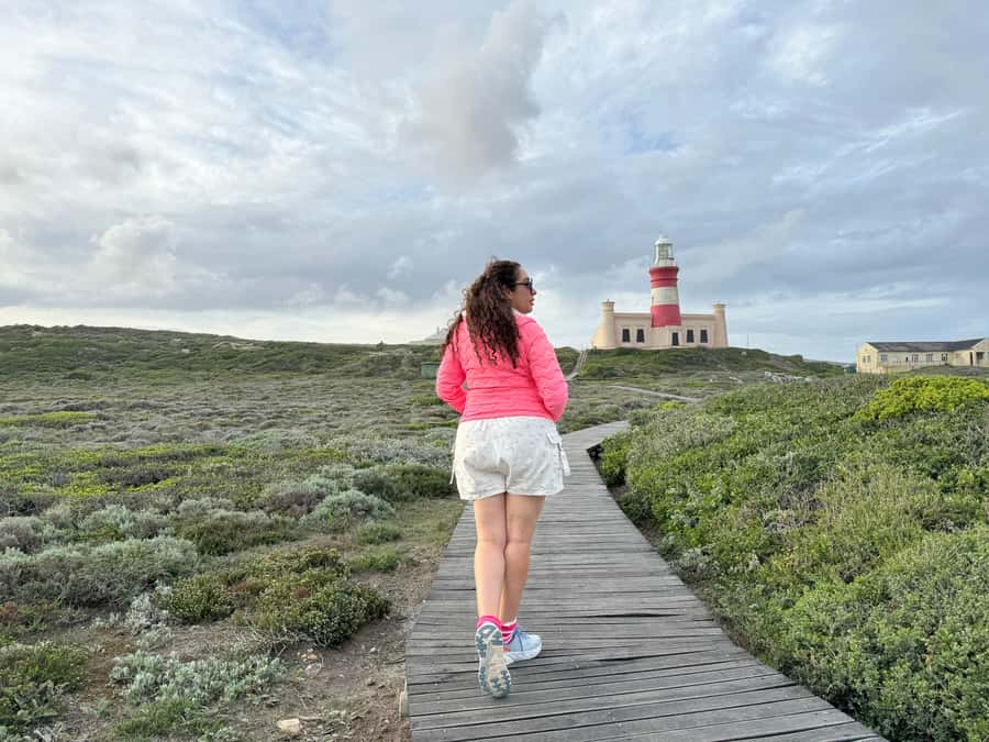 Cape Town: Garden Route and Addo Elephant Park 6-Day Safari - Wildlife Odds: How to Make the Most of Addo and the Coast