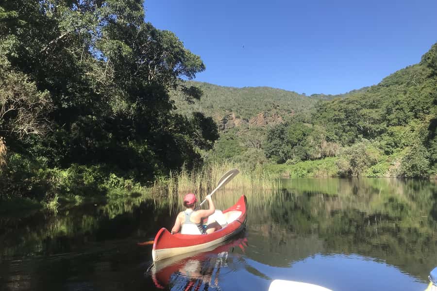 Cape Town: Garden Route and Addo Elephant Park 6-Day Safari - A Six-Day Route That Packs Big Nature Without Needing a Week Off
